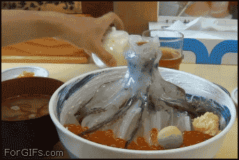 e05ac9c900810571d450800b48b2d029.gif