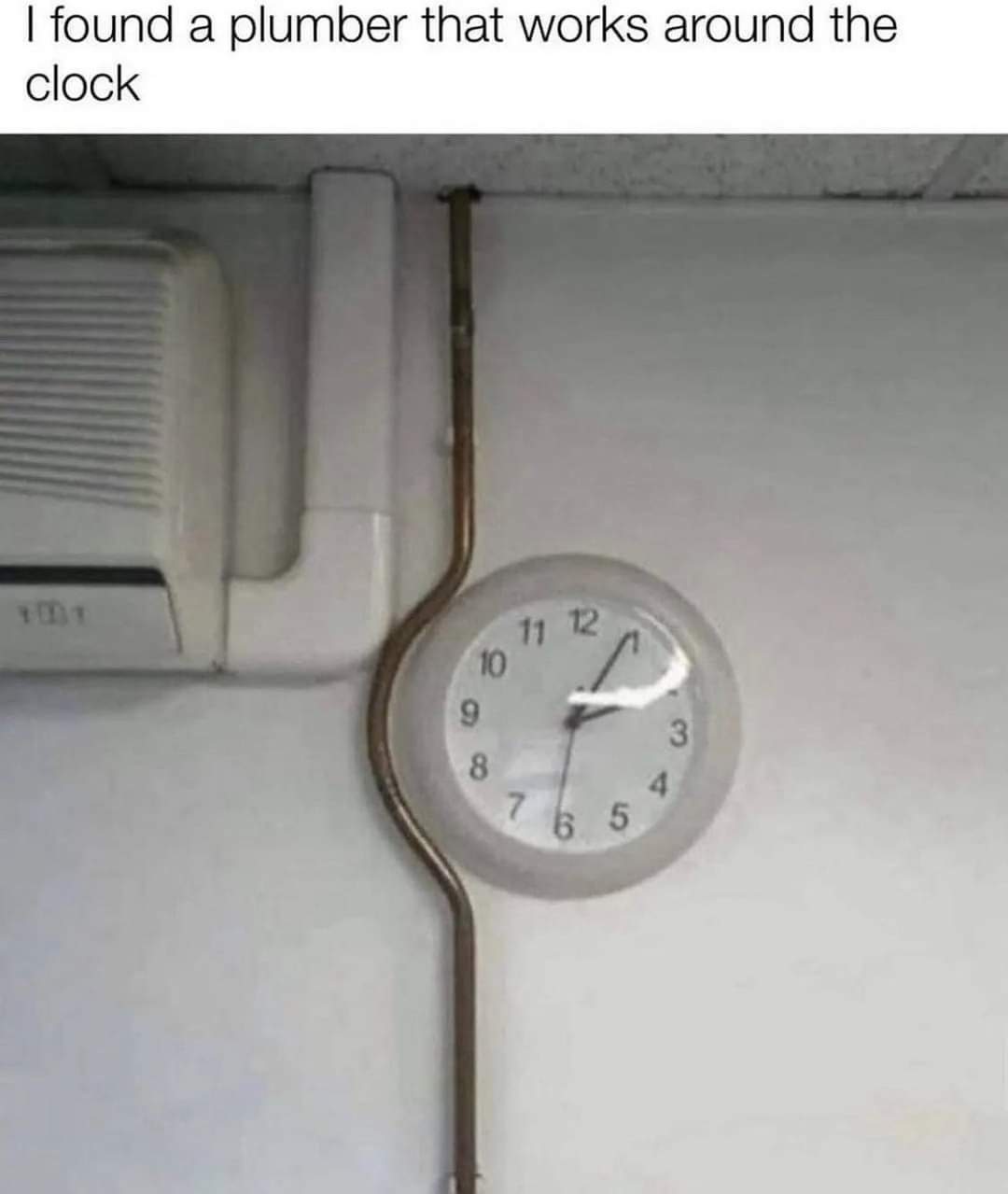 hbqzxzqa2dh81.jpg