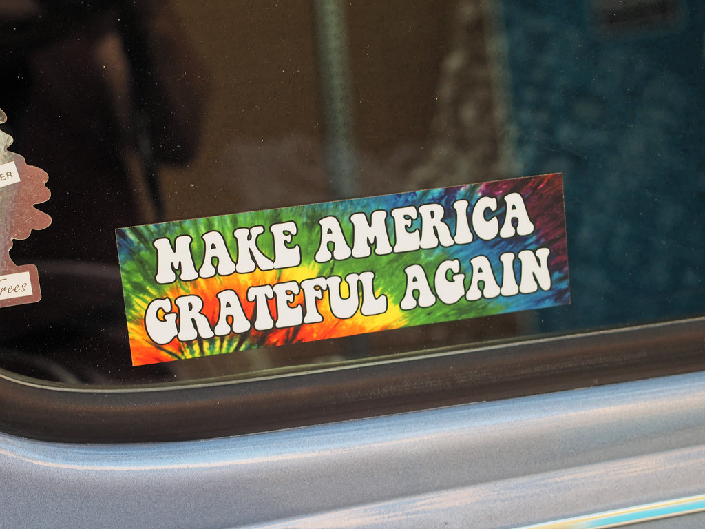 51490653249_9f04cf7acd_b.jpg