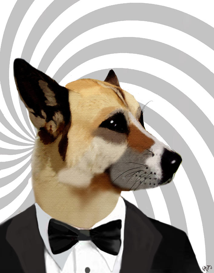 james-bond-dog-kelly-mclaughlan.jpg