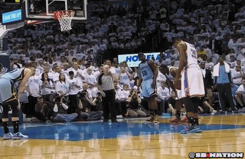 joeywantsthatball.gif