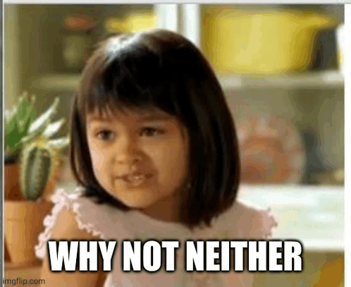 why-not-neither-meme.png