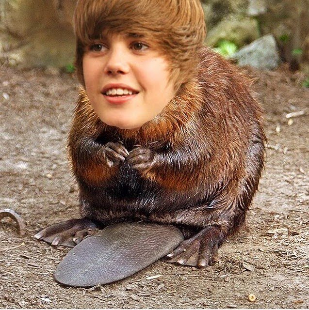 JustinBeaver.jpg
