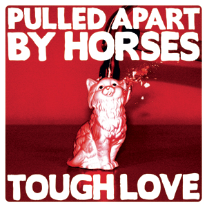 PABH_TOUGHLOVE_PACKSHOT300x3002.jpg