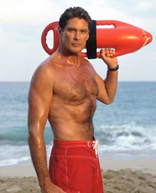 230441-thehoff.jpg