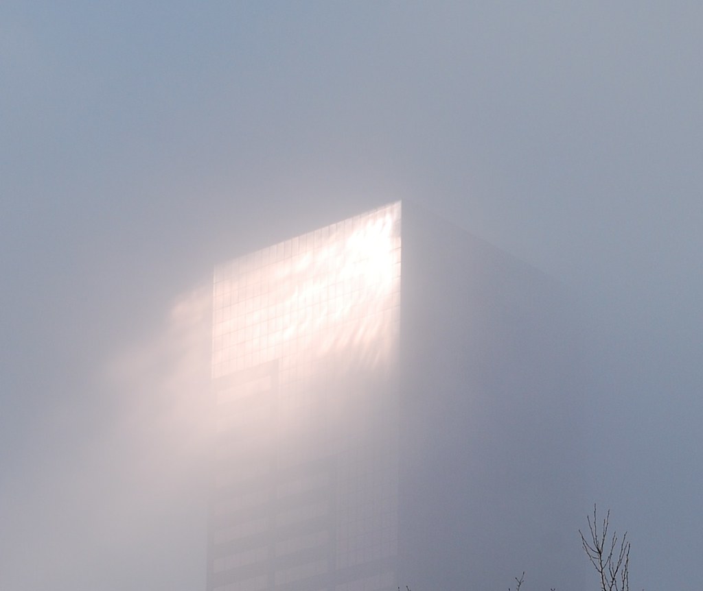4310188857_db6edab30f_b.jpg