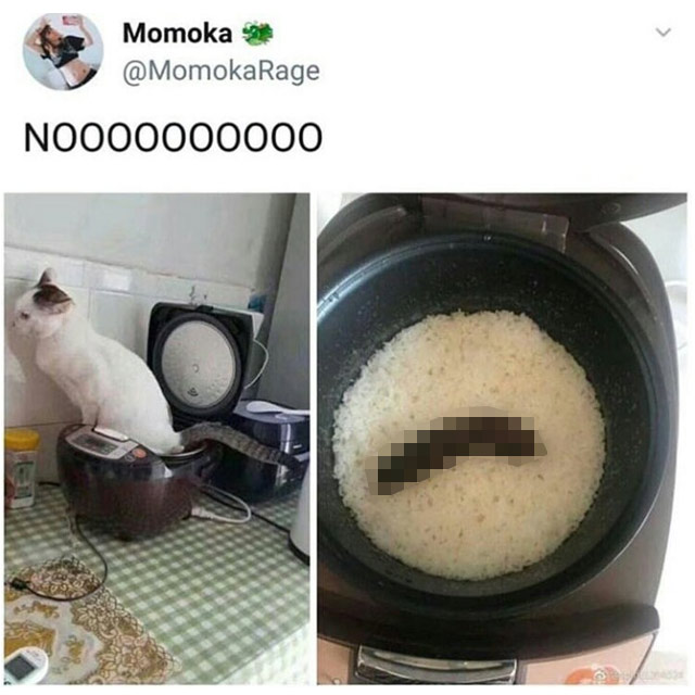 oaqvgbb8xwu61.jpg