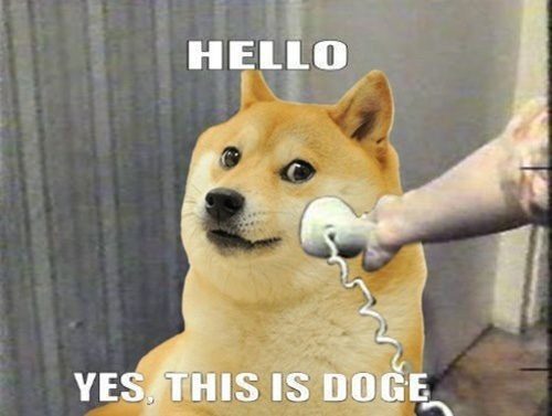 ThisisDoge.jpg