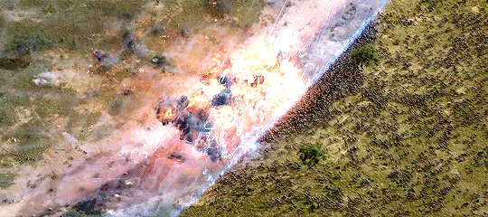 tumblr_p5p34gBqFv1sc0ffqo4_540.gif