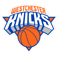 glg_westchester_knicks19-200.png