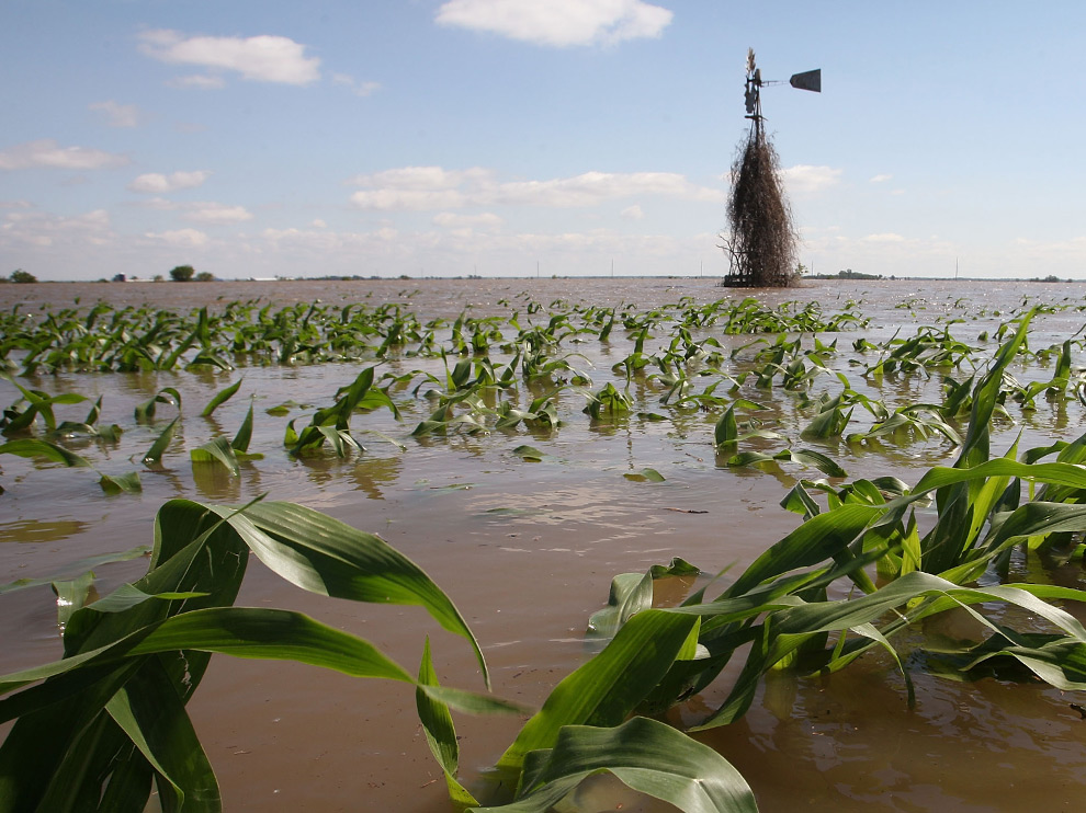 iowa9.jpg