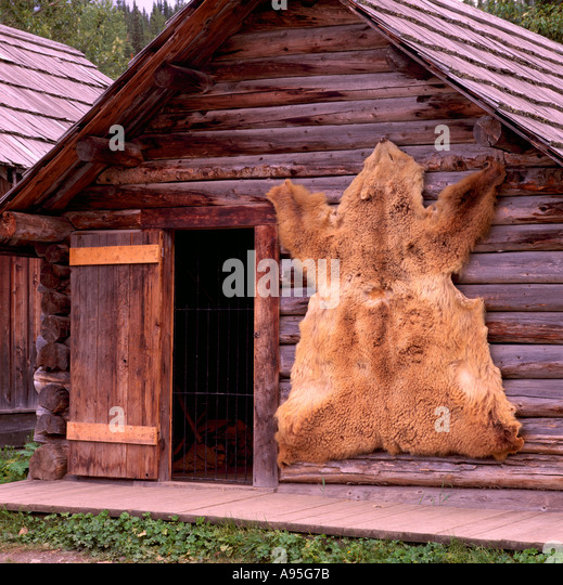 barkerville-bc-british-columbia-canada-bear-skin-mounted-on-old-log-a95g7b.jpg
