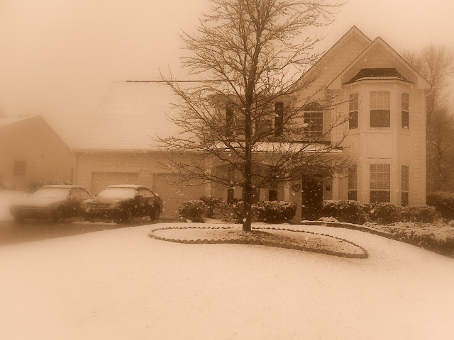 IMG00038.jpg