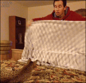 tumblr_nmgnmor7hW1tlb56zo1_400.gif