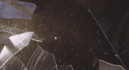 tumblr_mwcwxrtoBC1syseo5o1_500.gif