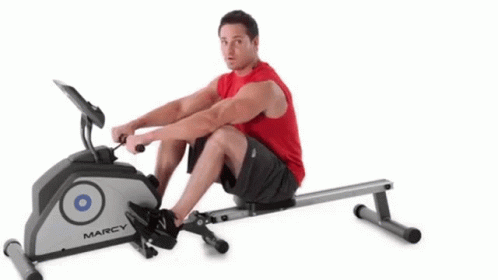 rowing-machine-work-out.gif