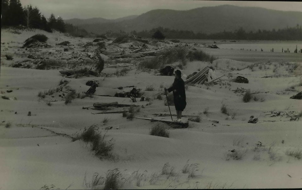 443_beeswaxbeach.jpeg
