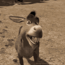 donkey-smile.gif