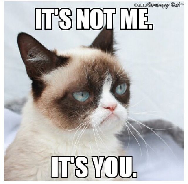 9d96949873e12669eb5ddf69a1330248--grumpy-cat-quotes-grumpy-cat-meme.jpg