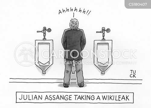 law-order-julian_assange-bathroom-urination-assange-leaks-rtun52_low.jpg