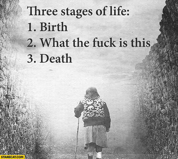 three-stages-of-life-birth-what-the-fuck-is-this-death.jpg