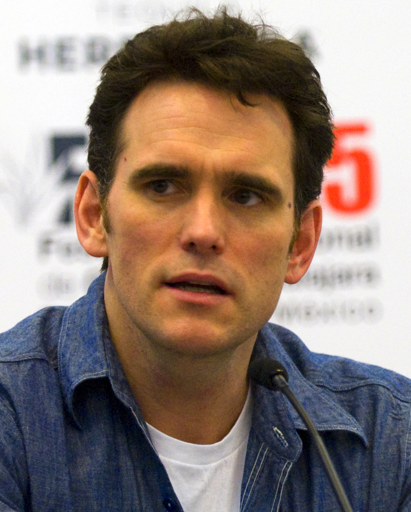 Matt_Dillon_2010.jpg