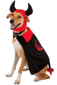 Devildog.jpg