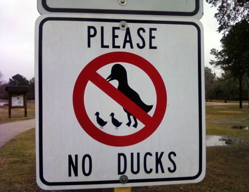 no-ducks-sign.jpg