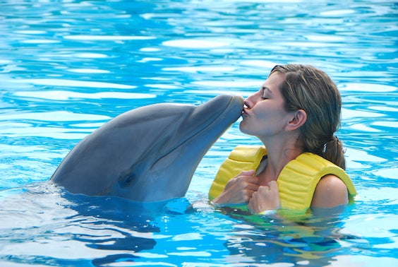 dolphin-love-1.jpg